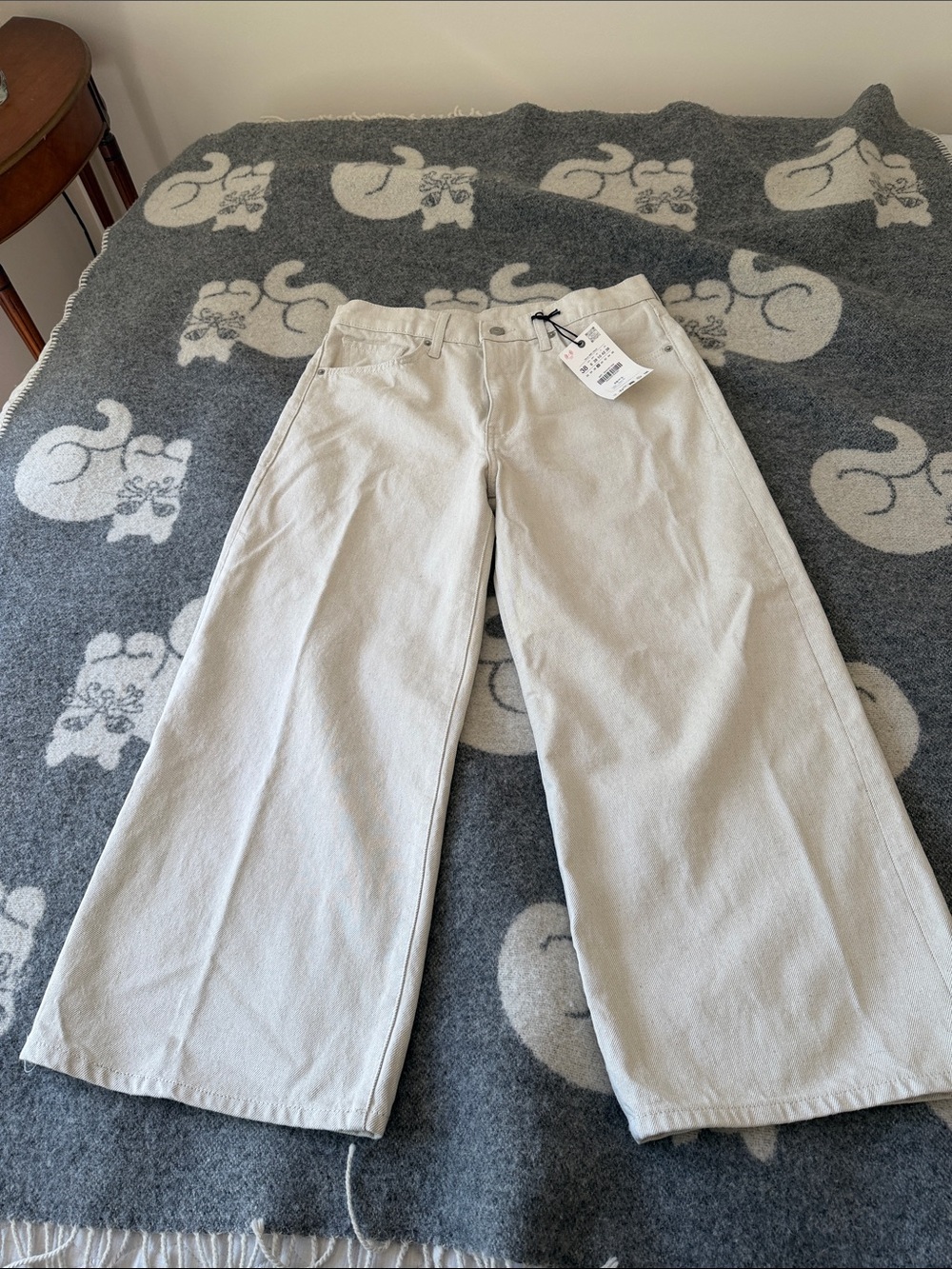 Zara Wide-Leg Light Beige Cotton Pants